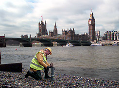 Physalia: Field Survey for British Airways London Eye